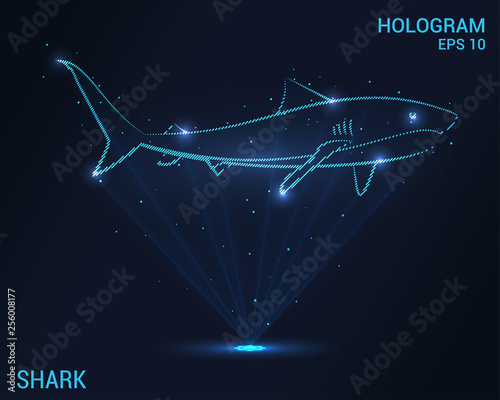 Shark hologram. Digital and technological shark background. A shark is made up of rays of light.
