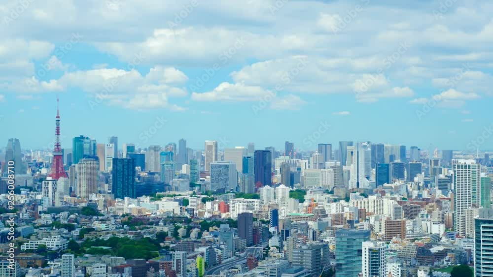 東京風景・タイムラプス・初夏・緑と木漏れ日 東京風景・タイムラプス・初夏・緑と木漏れ日