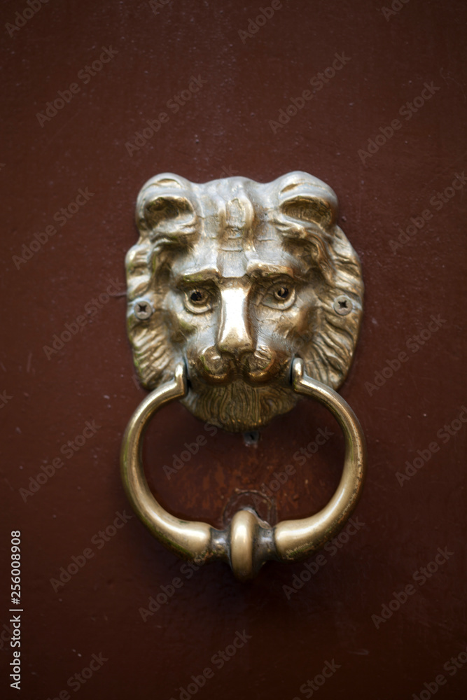 Ancient italian lion shaped door knocker