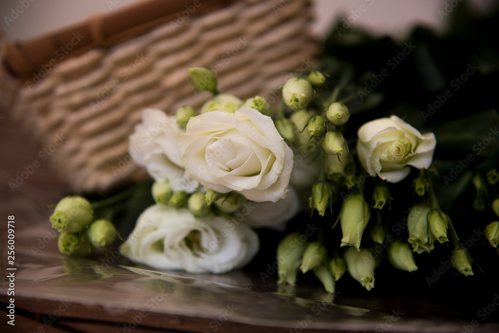 pretty eustoma lisianthus on simple background pretty eustoma lisianthus on simple background