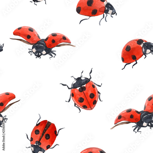 Watercolor ladybug seamless vector pattern © zenina
