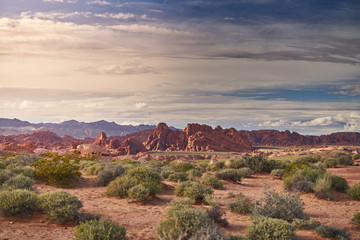 Papier peint photo Pantone 2025 Mocha Mousse Valley of Fire state park landscape  © Joshua Resnick
