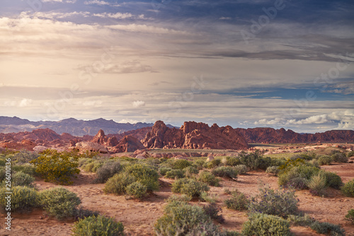 Fototapeta Naklejka Na Ścianę i Meble -  Valley of Fire state park landscape
