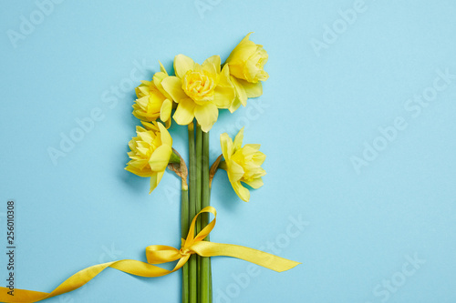 Obraz na plátně top view of beautiful bouquet of yellow daffodils with yellow ribbon on blue