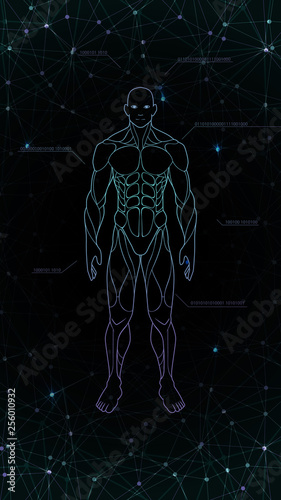 contour shape human body anatomy neon hologram projected at black background , sci fi interface design element , vector illustration