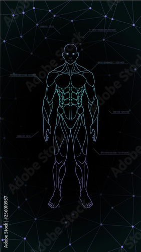 contour shape human body anatomy neon hologram projected at black background , sci fi interface design element , vector illustration