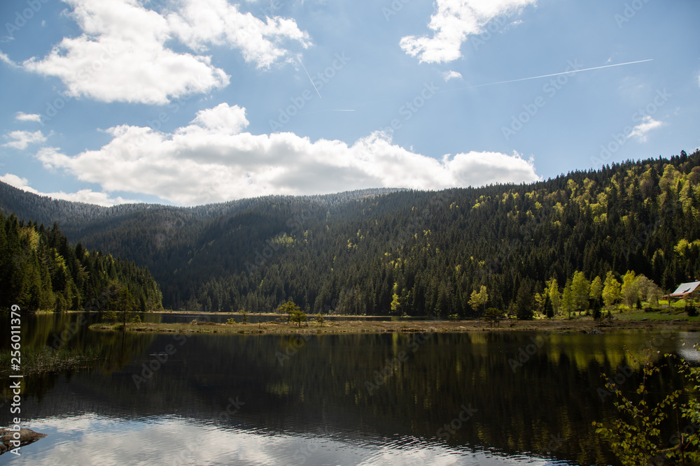 Landscape at the small Arbersee in Bavaria Landscape at the small Arbersee in Bavaria