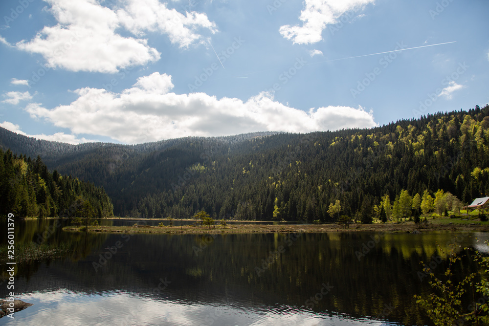 Landscape at the small Arbersee in Bavaria