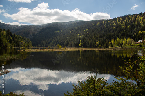 Landscape at the small Arbersee in Bavaria