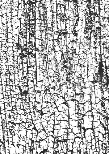 Distress old dry wooden texture.