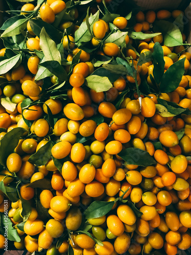 Japanese kumquat citrus photo