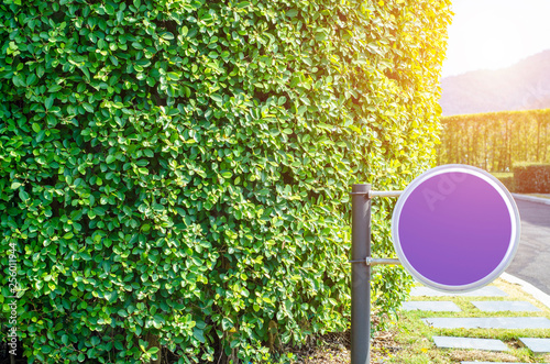 Purple circle badge Set in the morning garden.In the garden there is a circular sign. Located in it