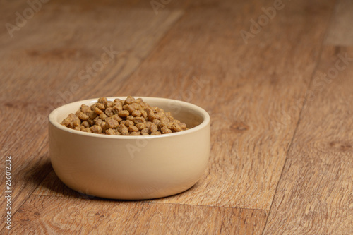 Beige cat and dog food bowl on the floor