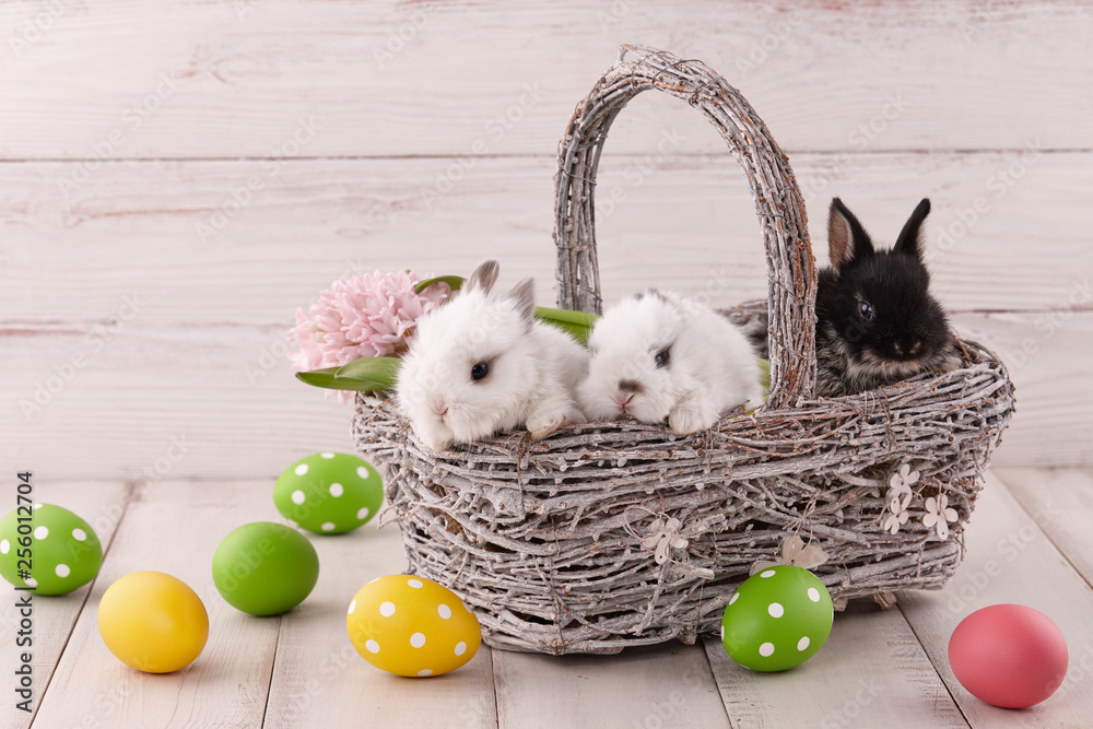 Cute baby hot sale easter pictures