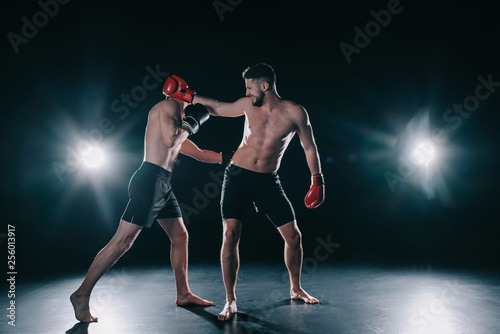 shirtless muscular boxer in boxing gloves punching another in head © LIGHTFIELD STUDIOS