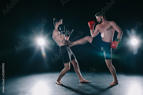 shirtless muscular mma fighter in boxing gloves kicking another in torso