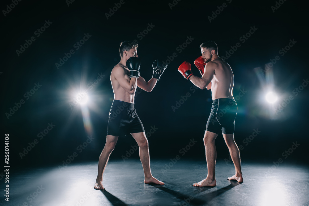strong muscular boxers in boxing gloves in stance looking at each other