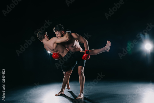 Принти на полотні strong muscular mma fighter in boxing gloves clinching another