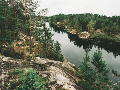 river in forest