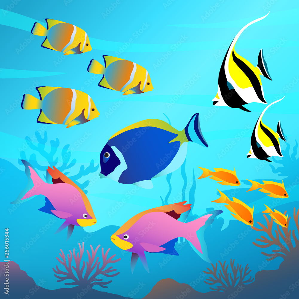 Beautiful underwater world, seascape, fish and sea bottom Beautiful underwater world, seascape, fish and sea bottom