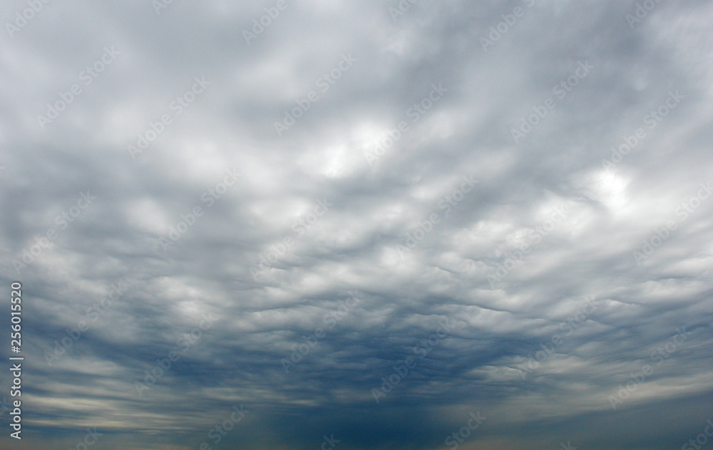 Nimbostratus clouds in the sky