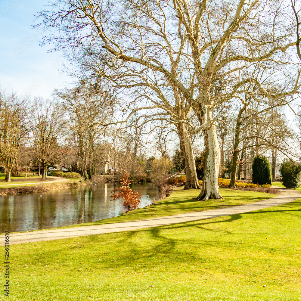 Beautiful view of the Proosdij park with its pond, with its trees without leaves and a dirt path, wonderful and sunny winter day in Meerssen south Limburg in the Netherlands Holland Beautiful view of the Proosdij park with its pond, with its trees without leaves and a dirt path, wonderful and sunny winter day in Meerssen south Limburg in the Netherlands Holland