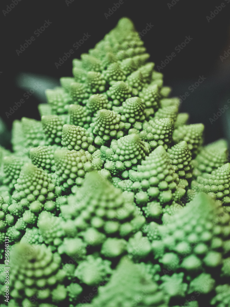 background of cauliflower background of cauliflower