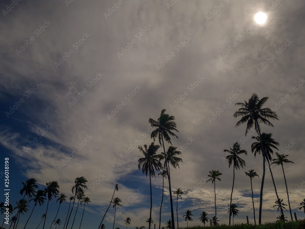 Obraz premium Sun over the tropical beach with coconut palm at Porto de Galinhas, Brazil. Silhouettes of palm trees and amazing cloudy sky on sunset at tropical Beach.
