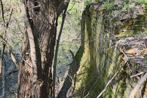 spring in ruins
