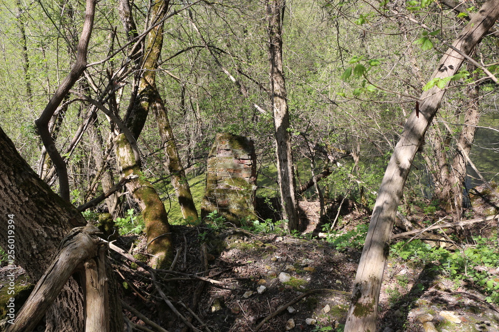 Fototapeta premium spring in ruins