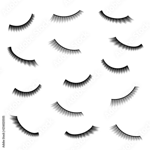 Creative vector illustration of false eyelashes, female lashes, mascara lash brush isolated on transparent background. Art design thick cilia beautiful make-up. Abstract concept graphic element