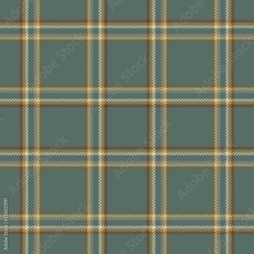 fabric plaid scottish tartan cloth.  seamless checkered.