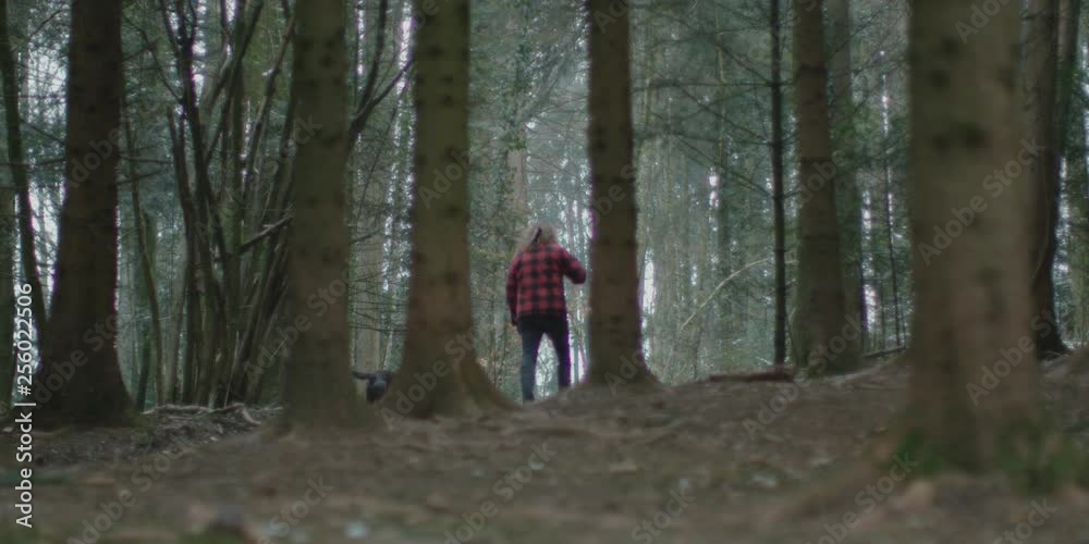 lumberjack walk in the forest lumberjack walk in the forest