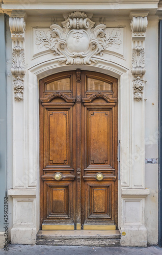 Beautiful vintage door in Paris
