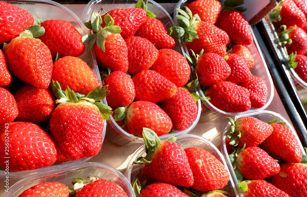 small boxes with strawberries for sale at local market in spring small boxes with strawberries for sale at local market in spring