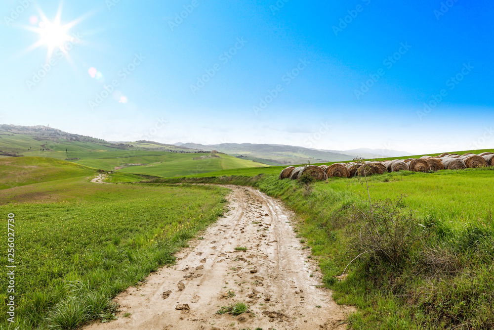 Spring landscape of Tuscany and free space for your decoration. 