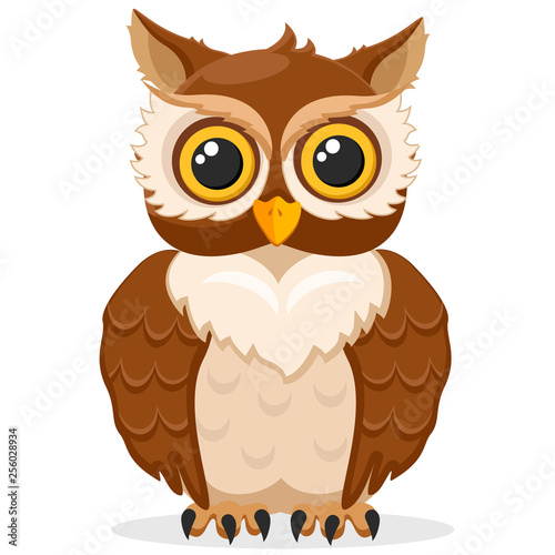 Owl on a white background. Bird predator.
