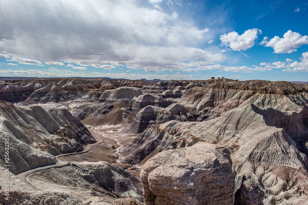 Petrified Forest National Park