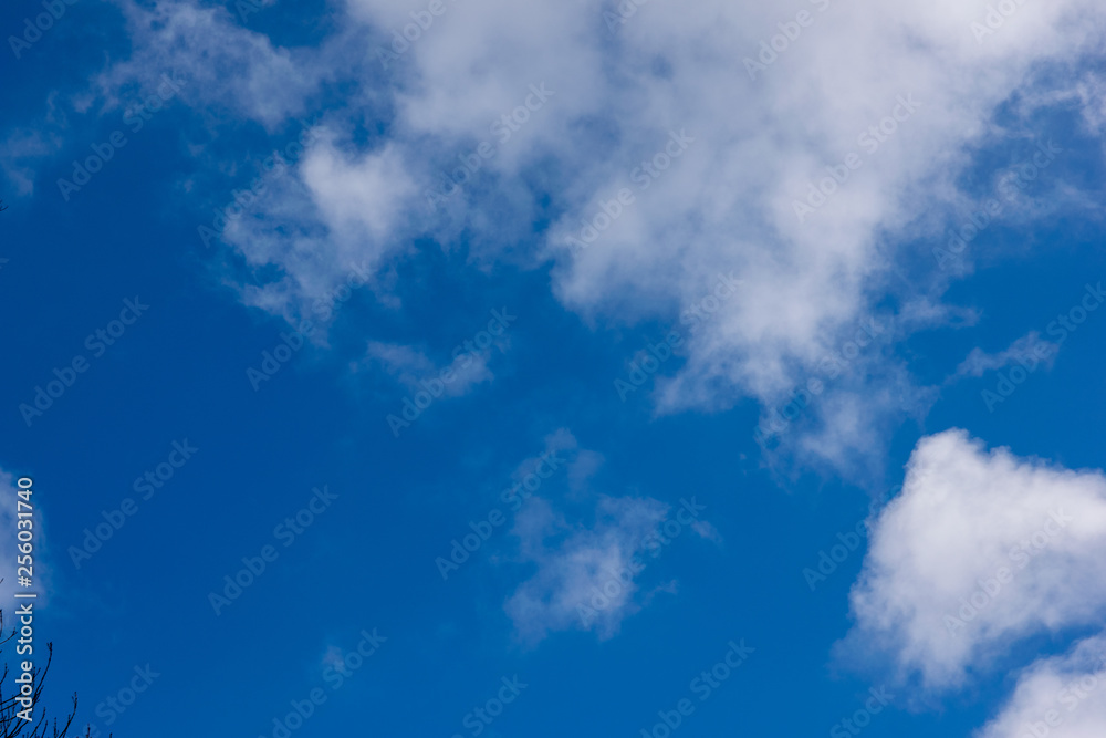 Obraz premium blue sky background with tiny clouds