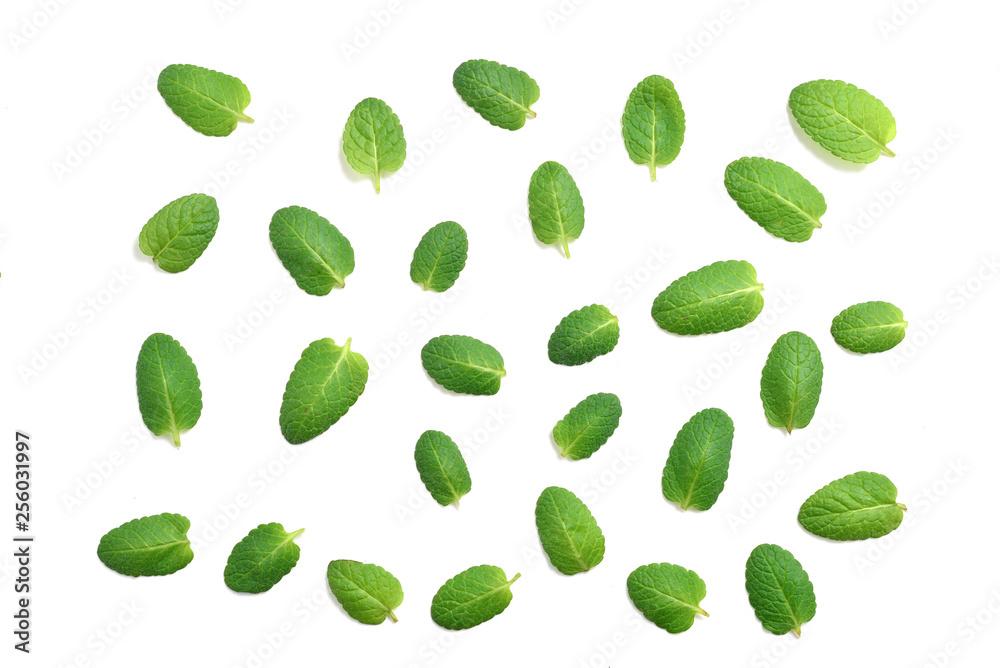 Mint leaves isolated on white background Mint leaves isolated on white background