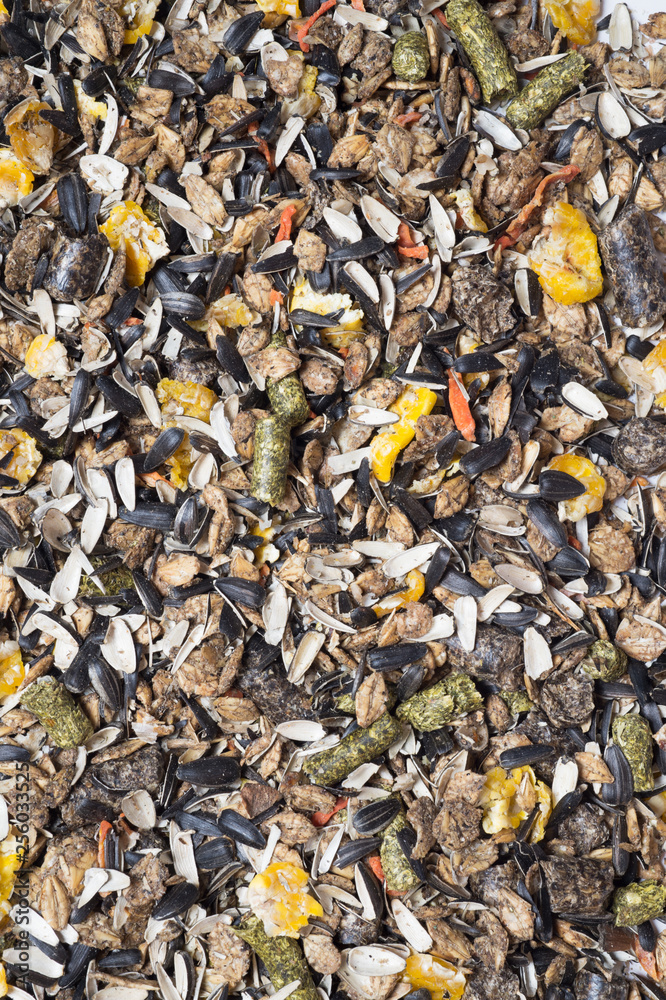  natural  muesli  background with sunflower seeds. for horse. close up