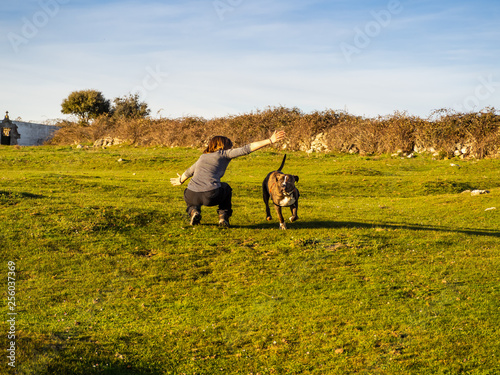 An adult woman playing with a young dog of the American staffordshire breed in countryside in springtime
