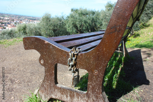 a lonely public park on a beautiful spring day. a wooden bench rests in the green garden next to an olive grove. on one side someone attacked a steel chain and a padlock photo