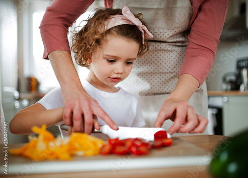 A portrait of small girl with mother at home, preparing vegetable salad.