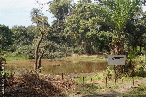 Krokodil Pool