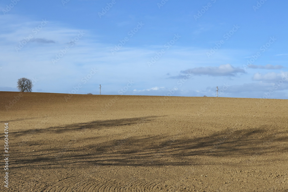 Fototapeta premium Campagna