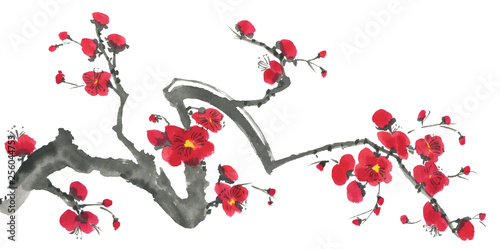 A branch of a blossoming sakura. Pink and red stylized flowers of plum mei and  wild cherry . Watercolor and ink illustration of tree in style sumi-e, go-hua,  u-sin. Oriental traditional painting. .