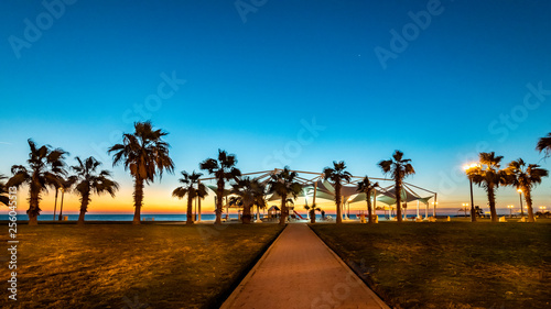 Fototapeta Naklejka Na Ścianę i Meble -  Southern Palms