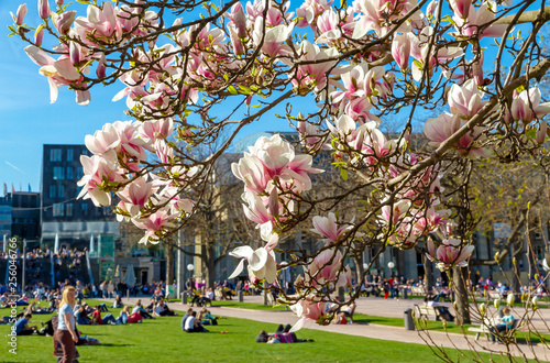Frühling in Stuttgart photo