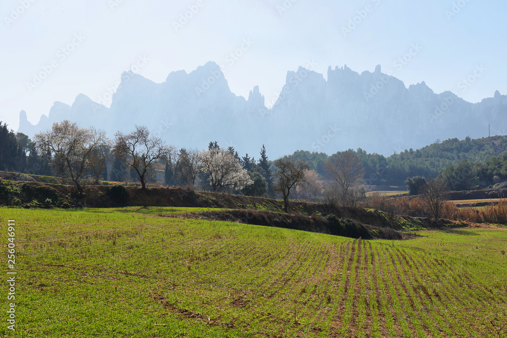 Fototapeta premium Montserrat mountain (Catalonia, Spain)